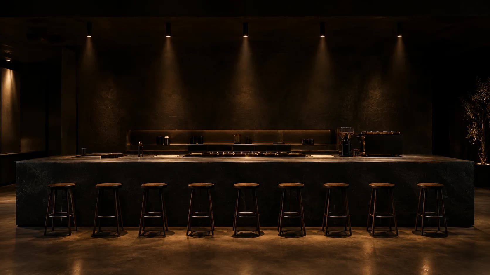 Moody Minimalist Coffee Bar Interior with Basalt Counter